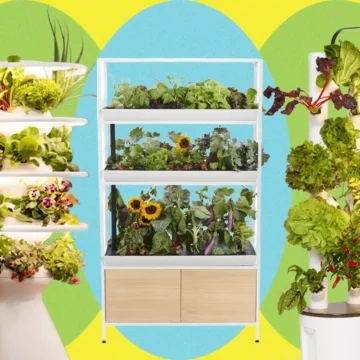 Best Indoor Garden Systems I’ve Been Testing All Year (2026)